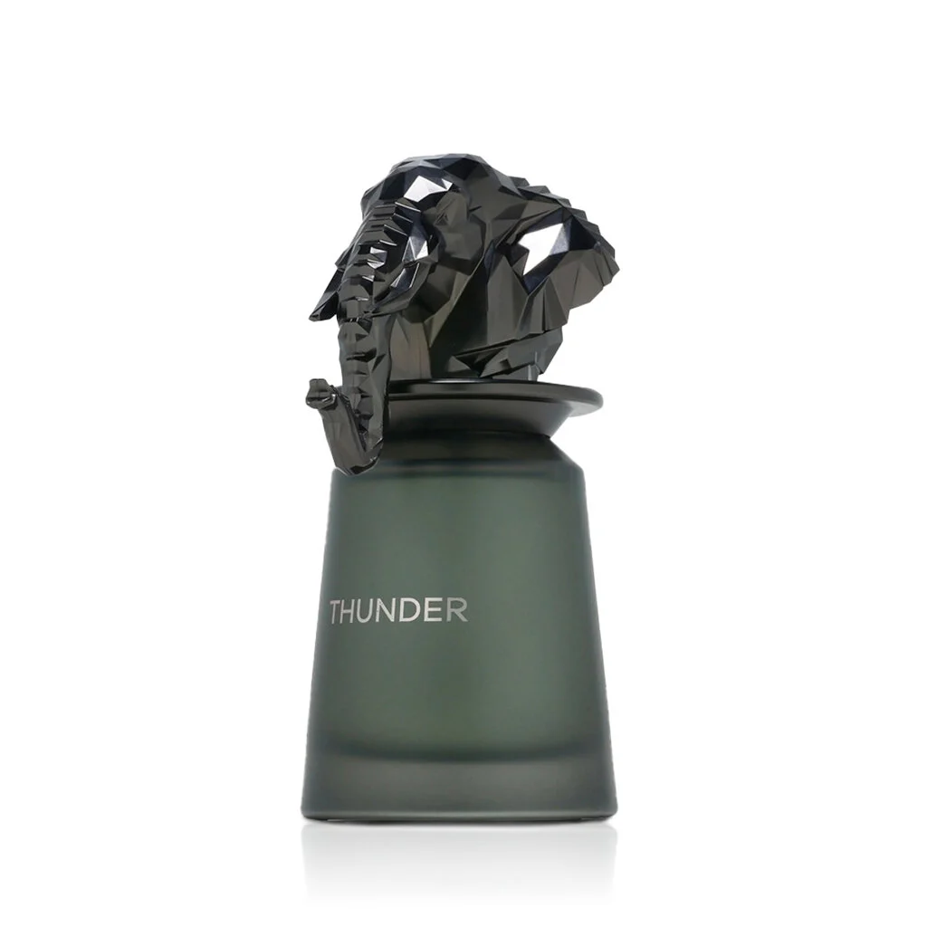 French Avenue Thunder Eau de Parfum (uomo) 100 ml