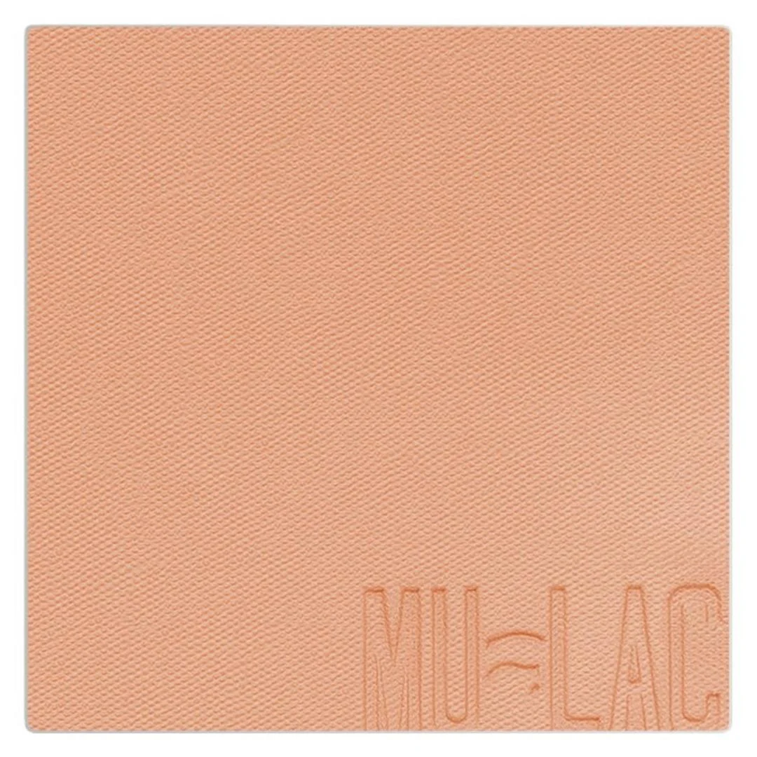 Blush In Polvere Refill