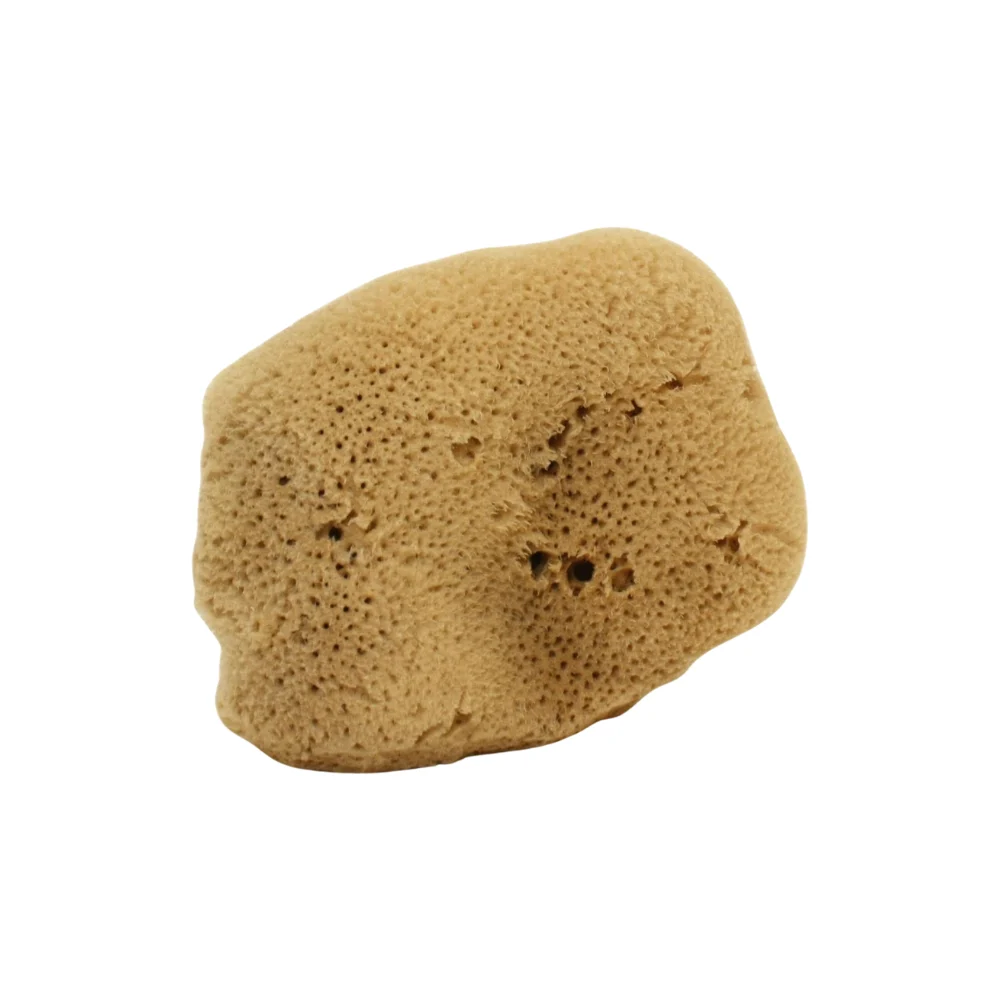 Cose della natura Spugna Fine Dama Lavata Grande 12-14 g