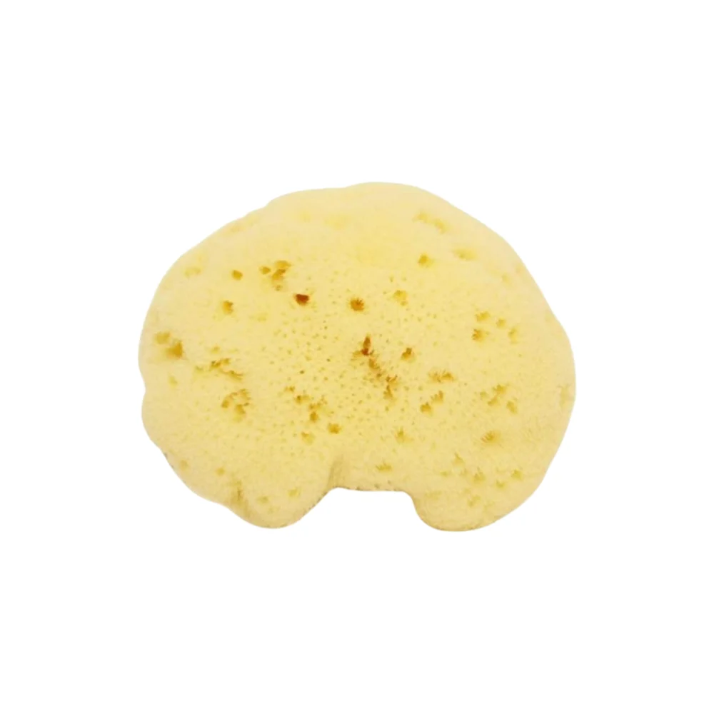 Cose della natura Spugna Naturale Fine Dama Sbiancata 6-8 g (6 g)