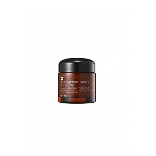 Mizon All In One Snail Repair Cream 75ml