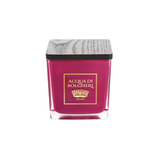 DR TAFFI Acqua di Bolgheri – Candela Profumata Bacche di Vinum 200 gr