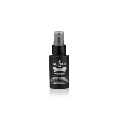 LABOR GORDON FISSATIVO SPRAY PER POLVERE CUOIO CAPELLUTO 60ML