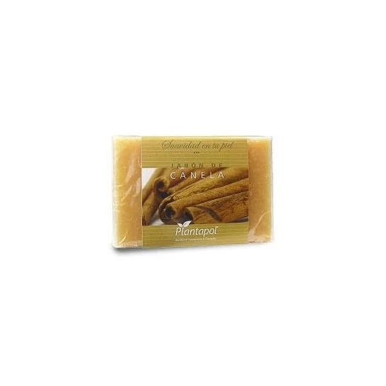 Plantapol Sapone alla cannella 100g