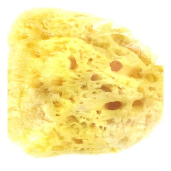 Estifarm Natural Sponge Spugna naturale Modello molto grande