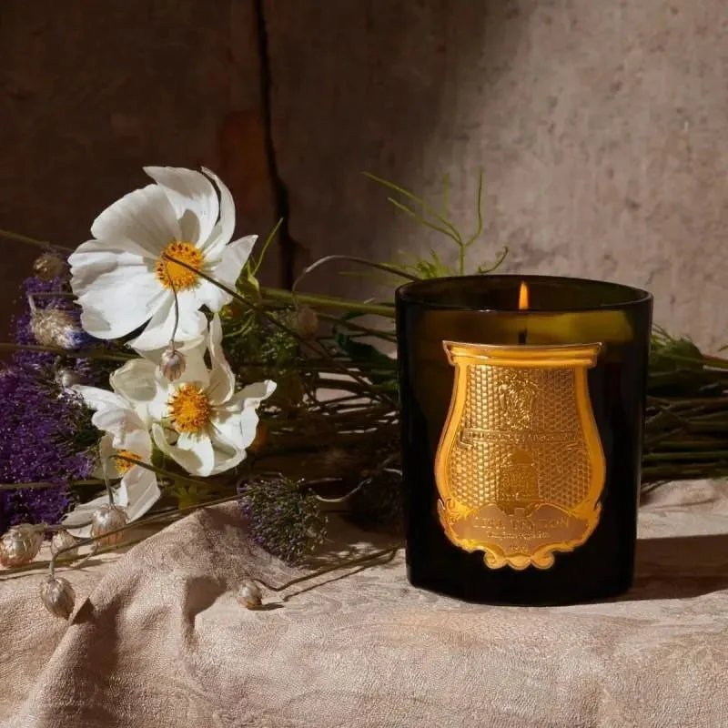 Trudon Spiritus Sancti Candela - 270 Gr