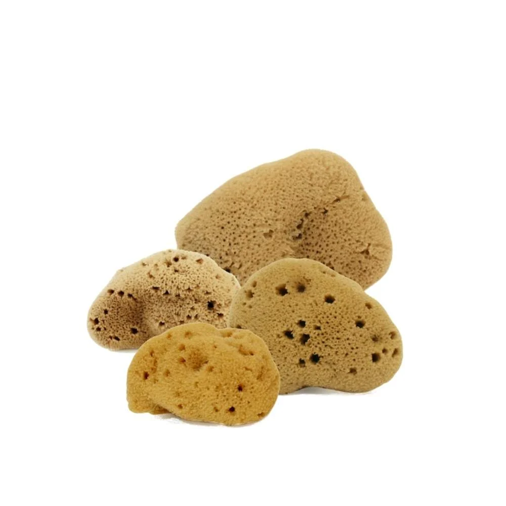 COSE DELLA NATURA Spugna Fine Dama Lavata Corpo 8/10 gr