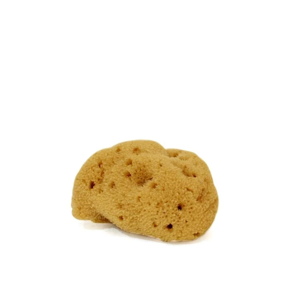 COSE DELLA NATURA Spugna Fine Dama Lavata Viso 3/4 gr