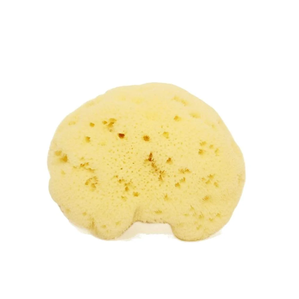 COSE DELLA NATURA Spugna Fine Dama Sbiancata Viso e Corpo 6/8 gr