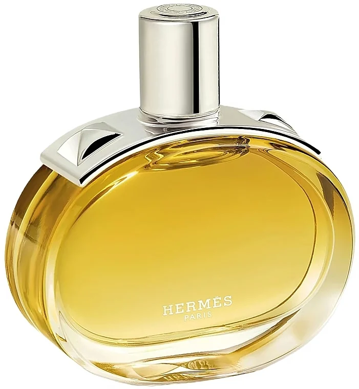 Hermes Barenia Intense