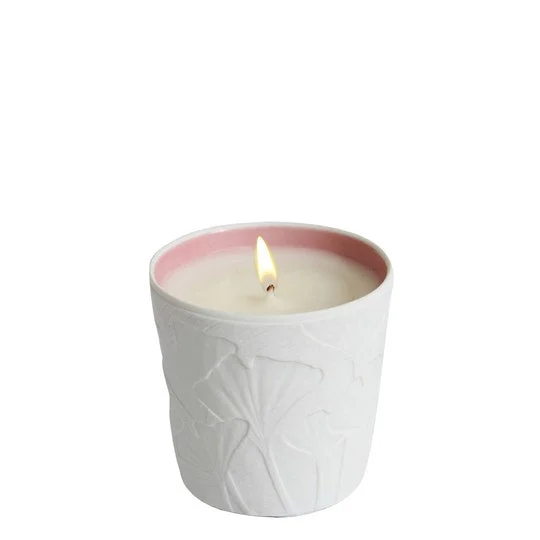 Le Jardin Retrouve Rose Trocadero Candela