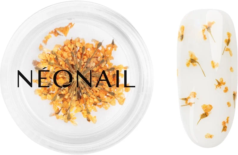 NEONAIL Dried Flowers fiore secco per le unghie colore arancio