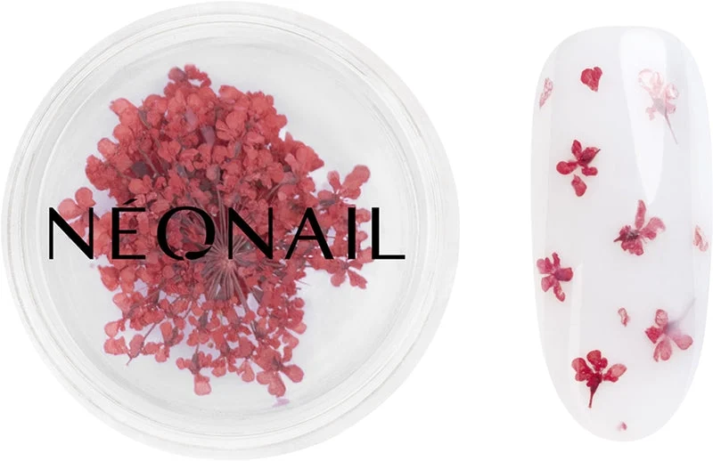 NEONAIL Dried Flowers fiore secco per le unghie colore 08 Red
