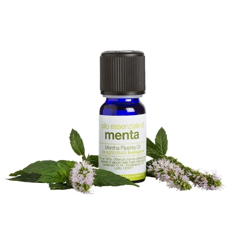 LA SAPONARIA Olio Essenziale Menta 10 ml