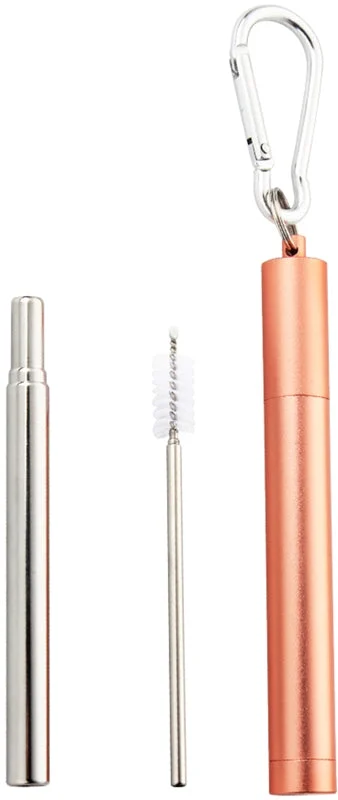 Naturalis Stainless Steel Straw Telescopic set per uso quotidiano