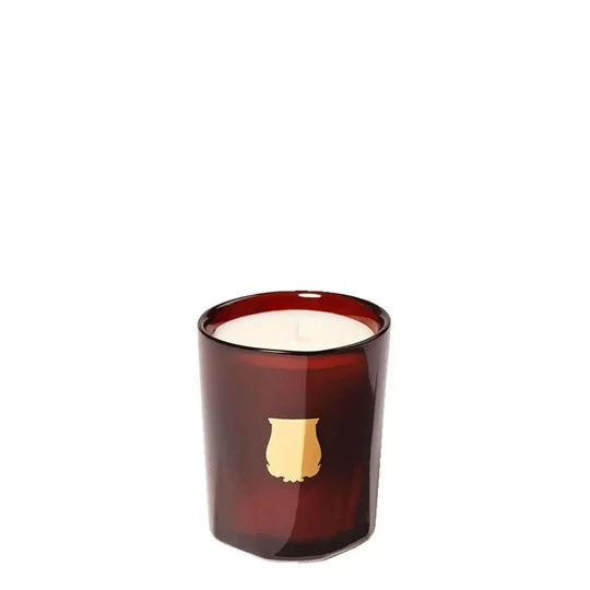 Trudon Cire Candela 70 g