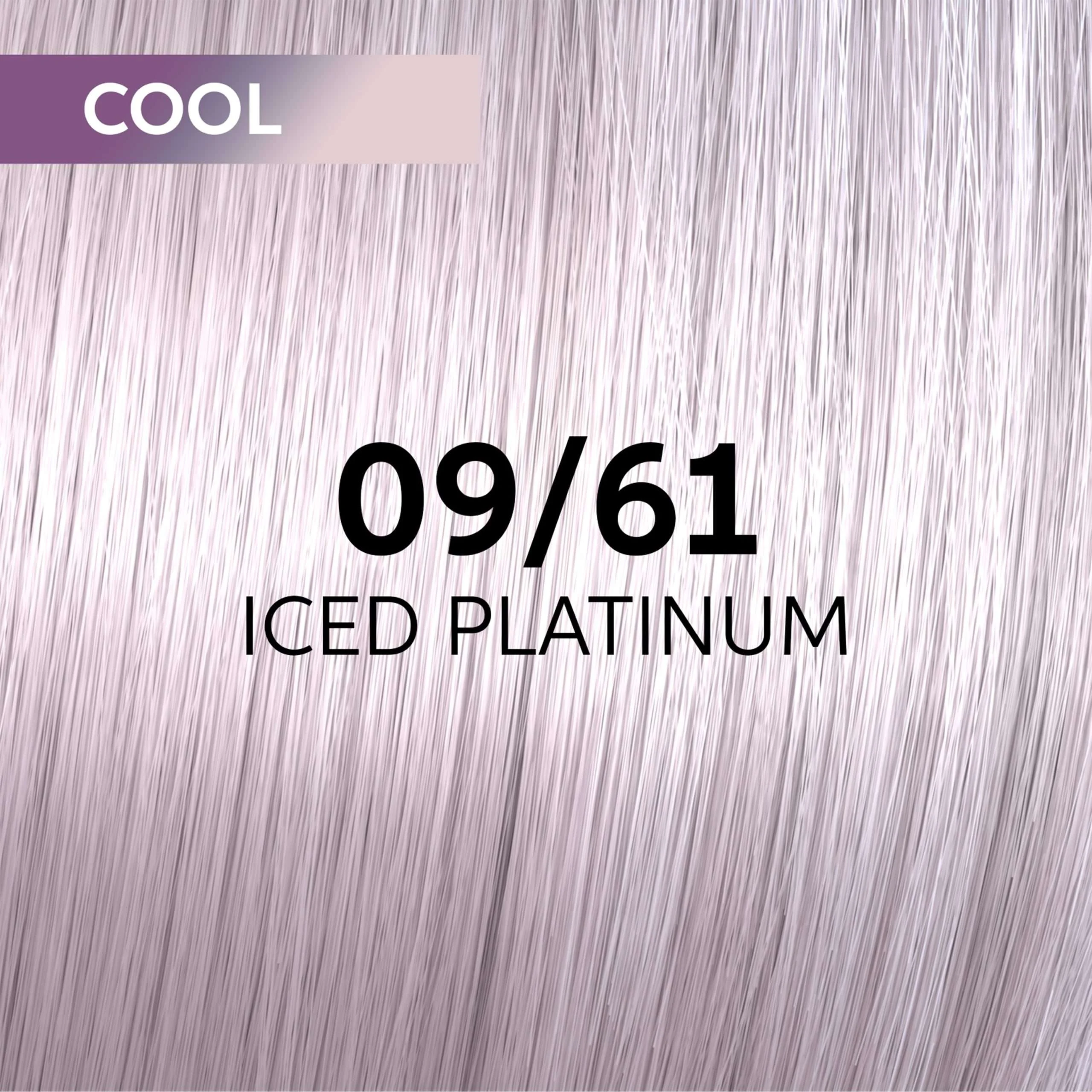 SHINEFINITY 60 ML. COL. 09/61 BIONDO CHIARISSIMO VIOLETTO CENERE